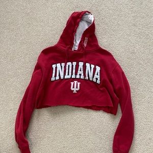 Indiana cropped sweatshirt